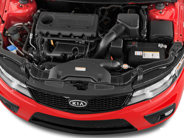 Forte Engine 2010
