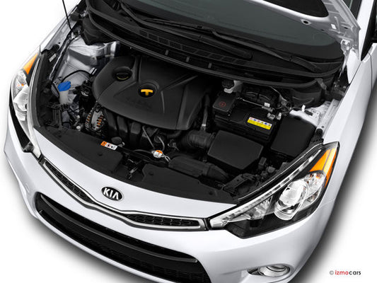 Forte Engine 2016 - 2020
